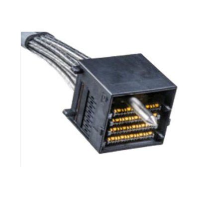 HS31100100 সংযোগকারী 25Gb/s ExaMAX উচ্চ গতির ক্যাবল সমাবেশ